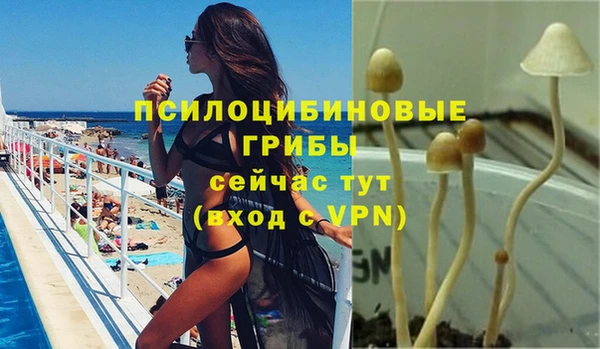 мяу мяу мука Бугульма